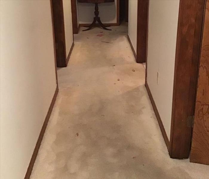 hallway in residential home with carpet