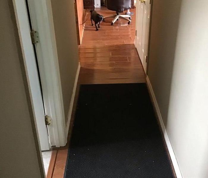 hallway with wood flooring and black runner rug