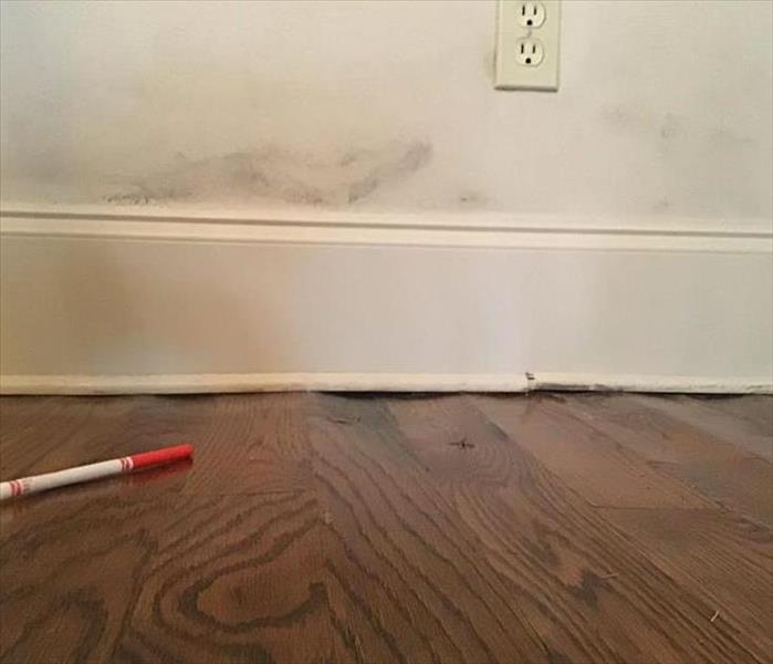 Mold on white wall and wood flooring buckling 