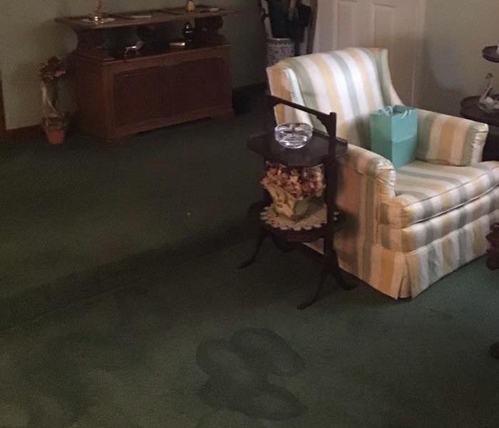 living room with green carpet that has water stains