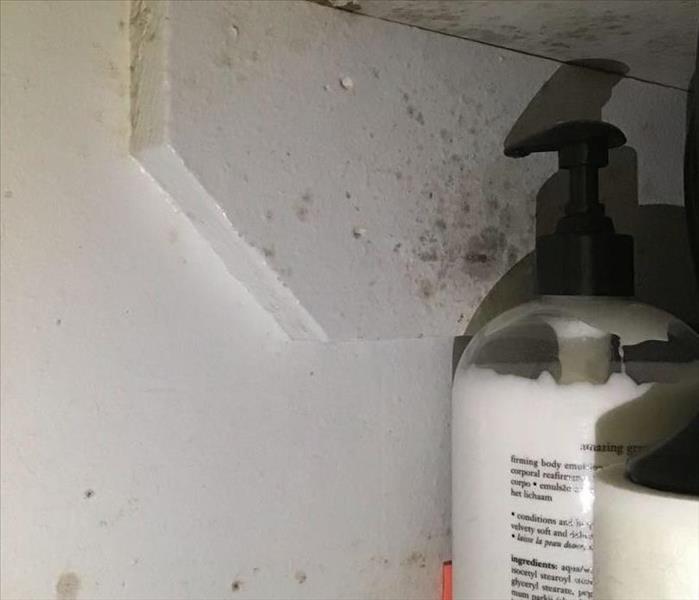 mold damage to wall in a bathroom closet