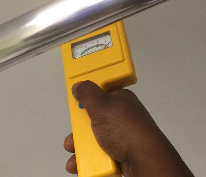 Hand holding yellow moisture detector 