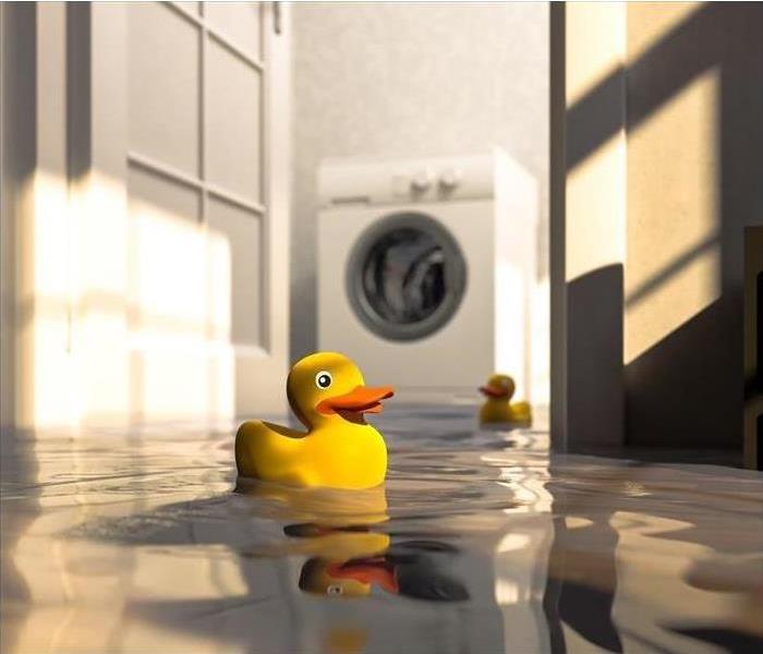 Flooded floor with floating rubber duck 