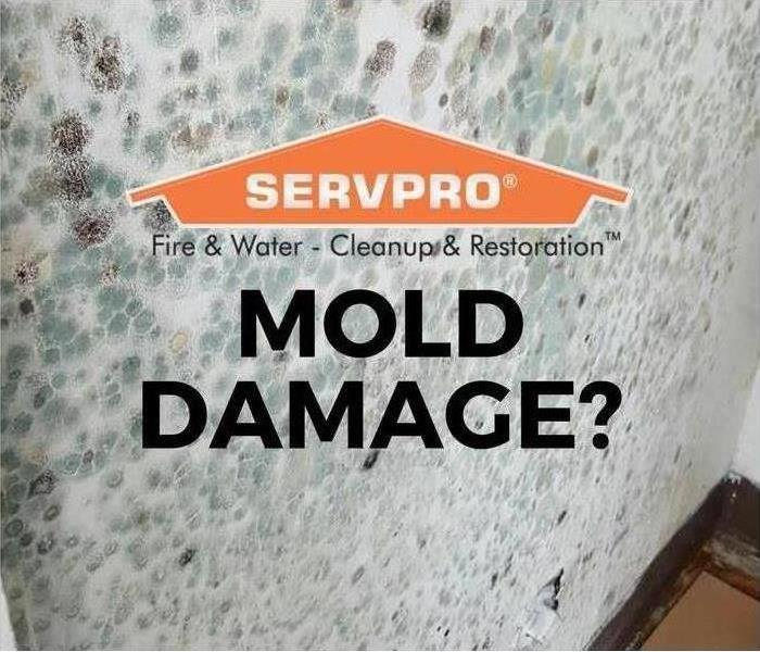 Mold spores with SERVPRO house logo