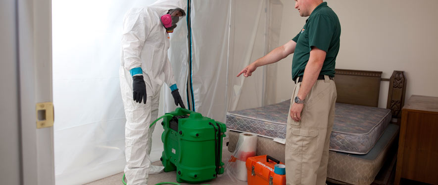 New Orleans, LA mold removal process